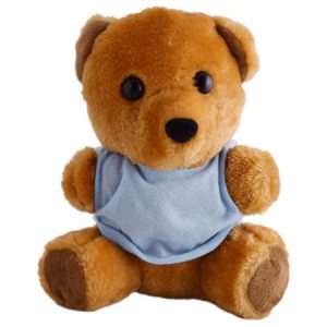 Teddy Plush Bear